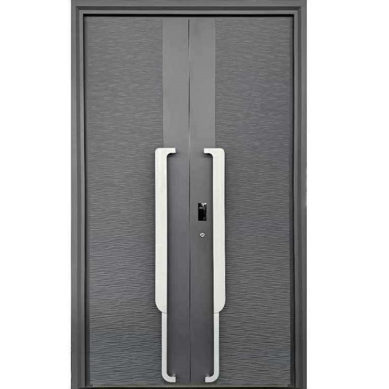 Factory Price Entrance Front Door Security Aluminum Stainless Steel Door