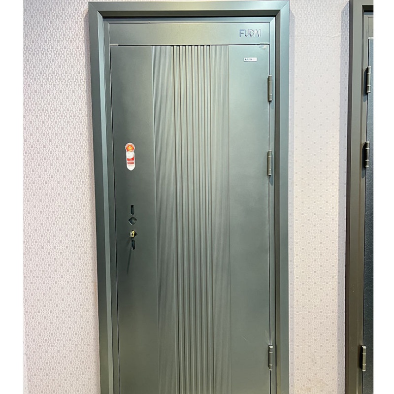 Hot Sale Entry Metal Steel Door for House Security Stainless Steel Door